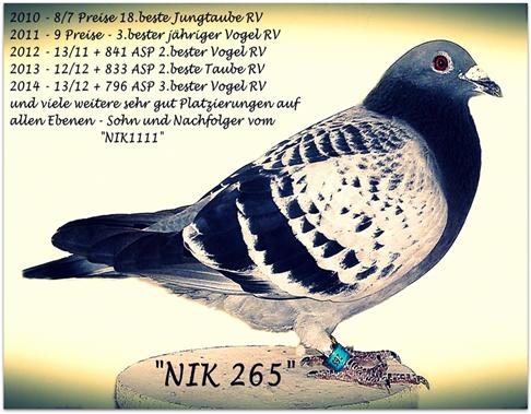 NIK 265 - 2014 - 900.jpg