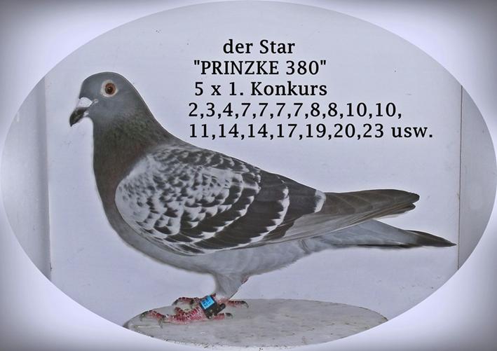 der STAR 380 - 900x636.JPG